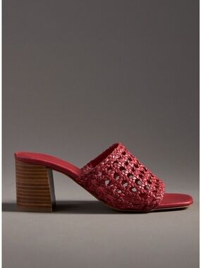 ANTHROPOLOGIE➕NWT Woven Block Heel Mule Sandal